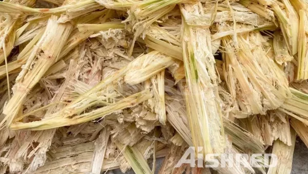 La Trituradora de Biomasa GEP ECOTECH Puede Convertir el Bagazo de Caña de Azúcar y la Paja en Biocombustible