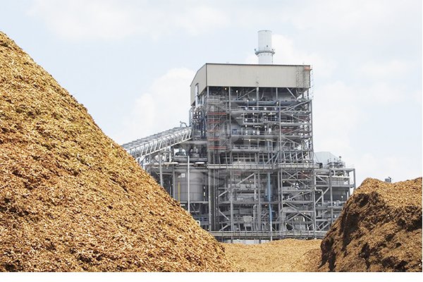 Combustión de Biomasa para Producción de Calor y Electricidad