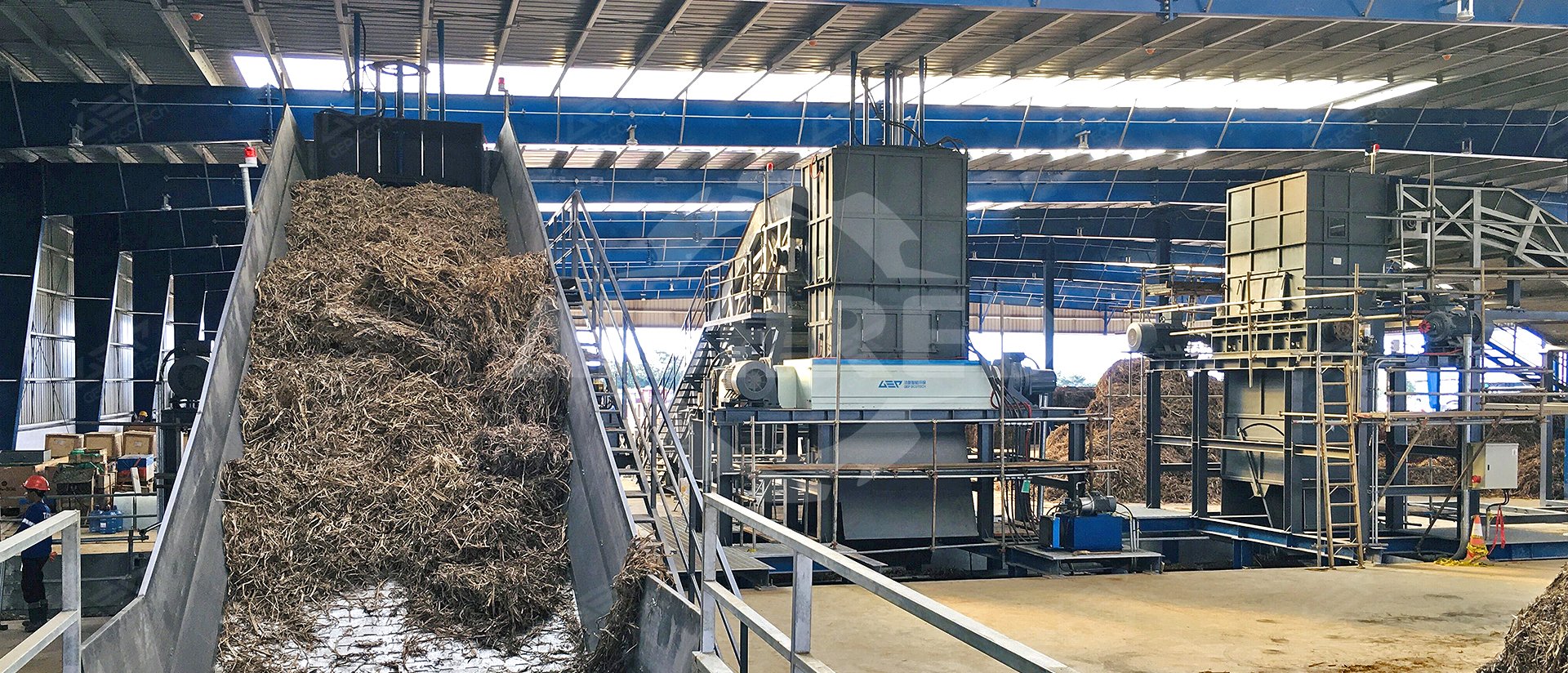 biomasa de sitio