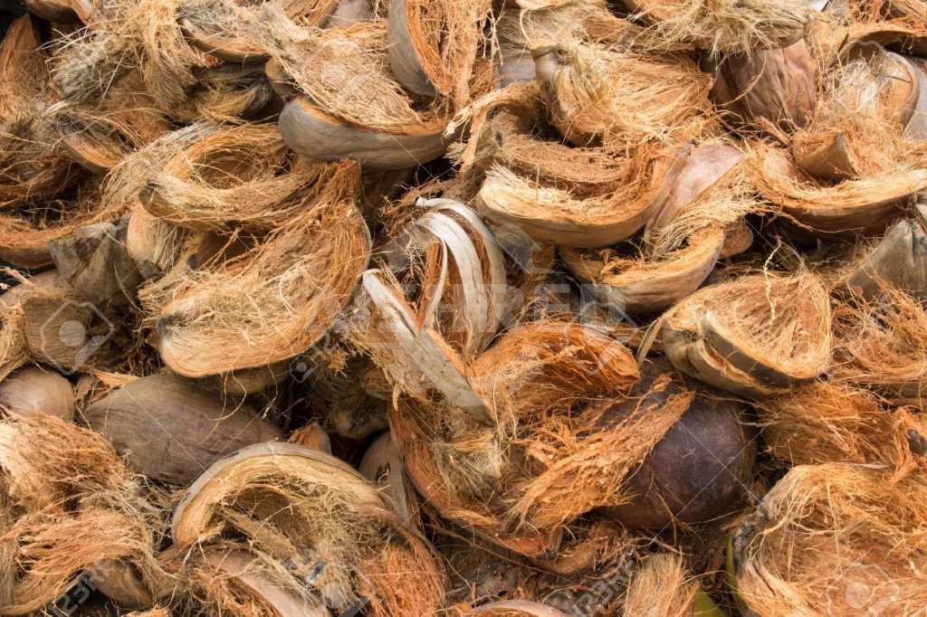 Cáscaras de Coco