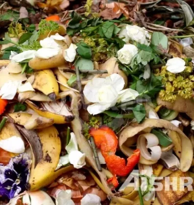 Máquina Trituradora para Residuos Biodegradables